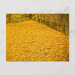 FALL FOLIAGE VAN CORTLANDT PARK NEW YORK POSTKARTE