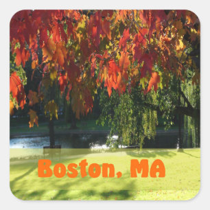 Fall Foliage von Boston Quadratischer Aufkleber