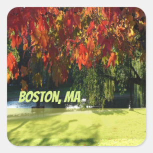 Fall Foliage von Boston Quadratischer Aufkleber
