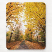 Fall Foliage Walking Path Mousepad (Vorne)