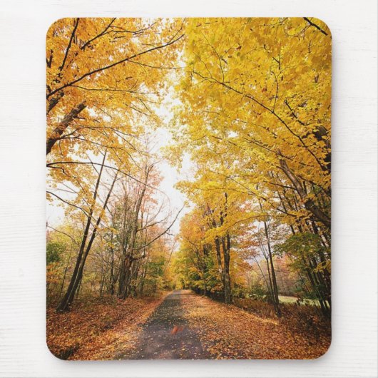 Fall Foliage Walking Path Mousepad (Vorne)