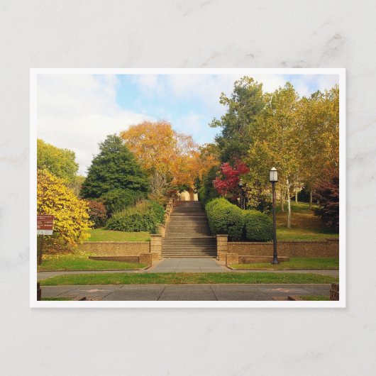 Fall Foliage Washington, D.C. Postcard Postkarte (Vorderseite)