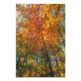 Fall Forest Artwork Fotodruck