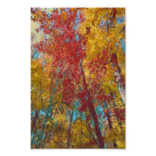 Fall Forest Artwork Fotodruck
