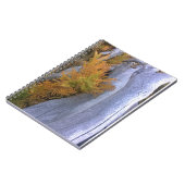 Fall Forest Brackens Notizblock (Linke Seite)