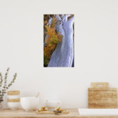 Fall Forest Brackens Poster (Küche)