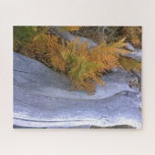 Fall Forest Brackens Puzzle (Horizontal)