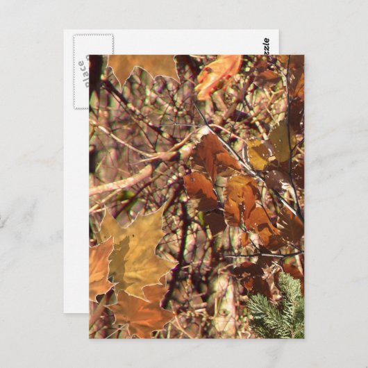 Fall Forest Bush Camouflage Postkarte (Vorne/Hinten)