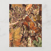 Fall Forest Bush Camouflage Postkarte (Vorderseite)