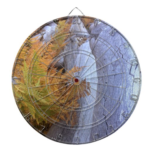 Fall Forest Dartscheibe (vorne)