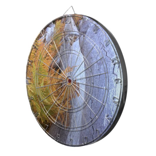 Fall Forest Dartscheibe (Vorderseite rechts)