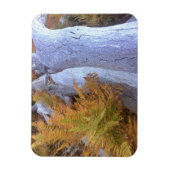 Fall Forest Magnet (Vertikal)