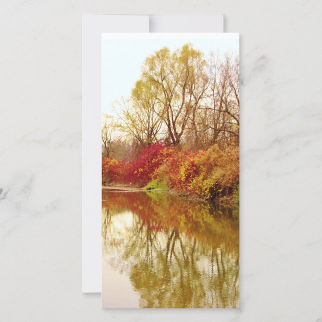 Fall Forest River Scene (Vorderseite)
