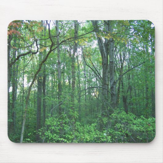 Fall-Forstwirtschaft Mousepad (Vorne)