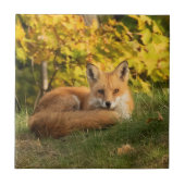 Fall Fox Fliese (Vorderseite)