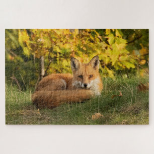 Fall Fox Puzzle
