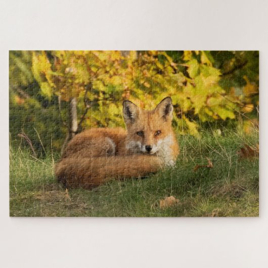 Fall Fox Puzzle (Horizontal)