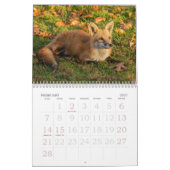 Fall Foxes Calendar Kalender (Feb 2027)