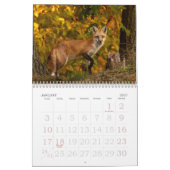 Fall Foxes Calendar Kalender (Jan 2027)