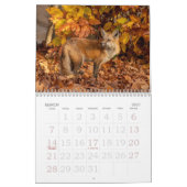 Fall Foxes Calendar Kalender (Mär 2027)