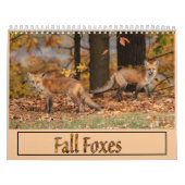 Fall Foxes Calendar Kalender (Titelbild)
