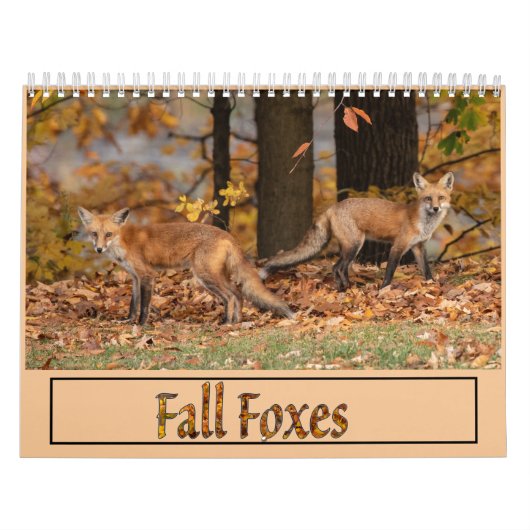 Fall Foxes Calendar Kalender (Titelbild)