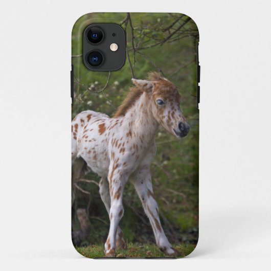 Fall Freckles iPhone 5 Case-Mate iPhone Hülle (Rückseite)