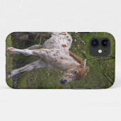 Fall Freckles iPhone 5 Case-Mate iPhone Hülle (Rückseite (Horizontal))