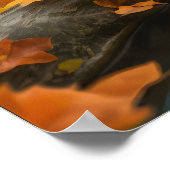 Fall Frogs Poster (Ecke)