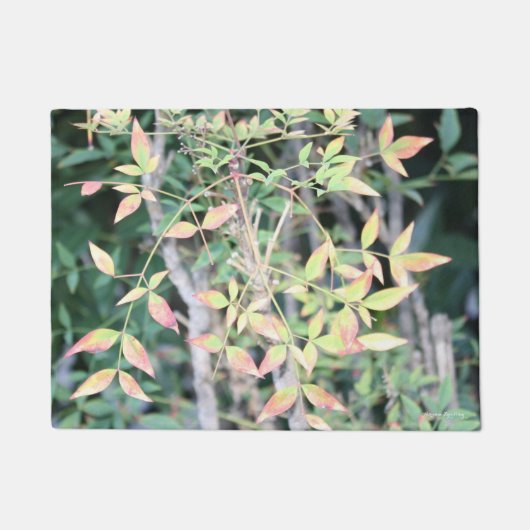 Fall für Sie Türmatte (Vorderseite)