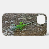 Fall Gecko Case-Mate iPhone Hülle (Rückseite (Horizontal))
