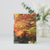 Fall gezeichnete Straße, Nikko, Japan Postkarte (Stehend Vorderseite)