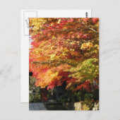 Fall gezeichnete Straße, Nikko, Japan Postkarte (Vorne/Hinten)