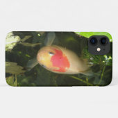Fall Goldfish iPhone 3 Case-Mate iPhone Hülle (Rückseite (Horizontal))