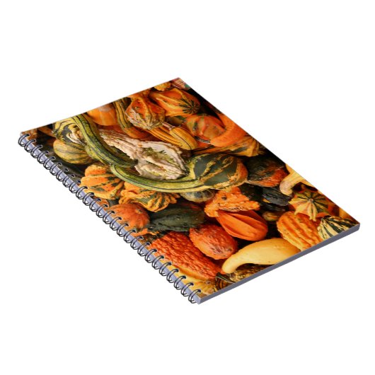 Fall Gourd Background Notizblock (Rechte Seite)