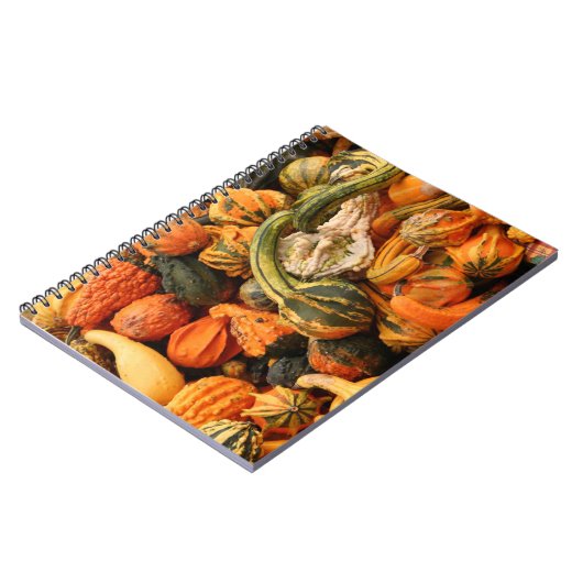 Fall Gourd Background Notizblock (Linke Seite)
