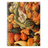 Fall Gourd Background Notizblock (Vorderseite)