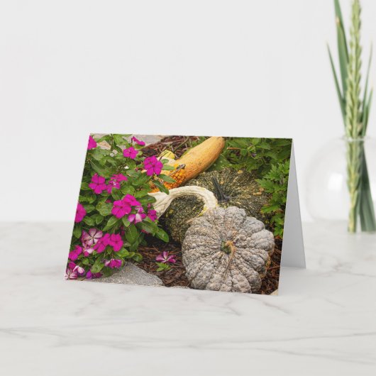 Fall Gourds & Impatiens Grußkarte Karte (Vorderseite)