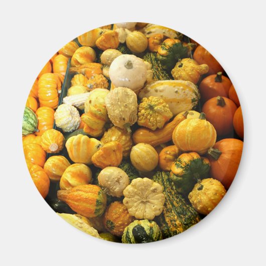 Fall Gourds Magnet (Vorne)
