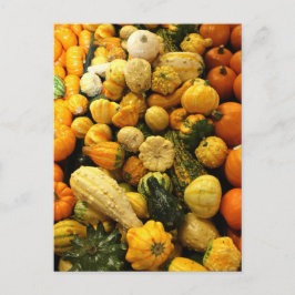 Fall Gourds Postkarte
