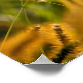 Fall Grass Poster (Ecke)
