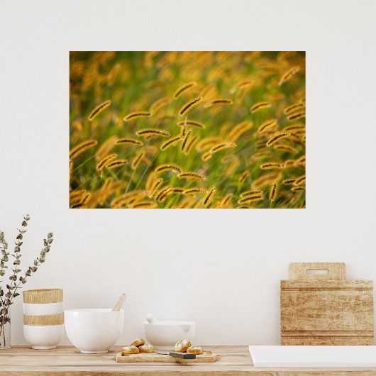 Fall Grass Poster (Küche)