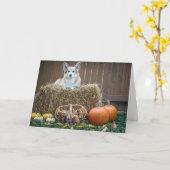 Fall/Halloween-Korgi-Blindkarte Karte (Gelbe Blume)