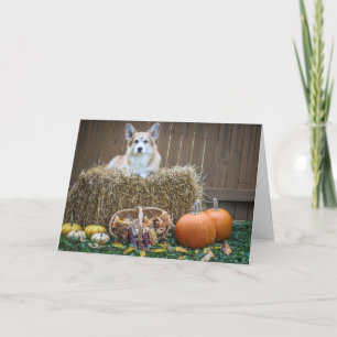 Fall/Halloween-Korgi-Blindkarte Karte