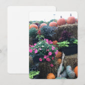 Fall Halloween Pumpkins Dankeskarte (Vorne/Hinten)