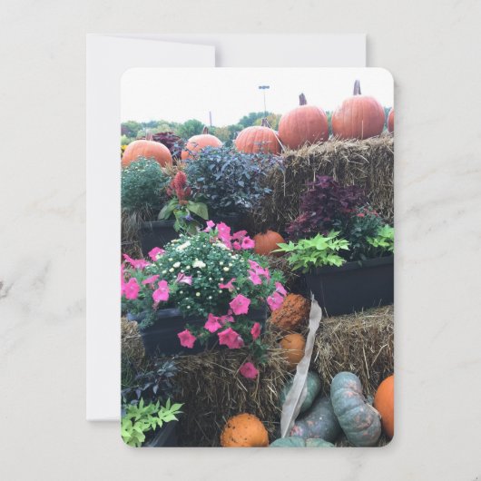 Fall Halloween Pumpkins Dankeskarte (Vorderseite)