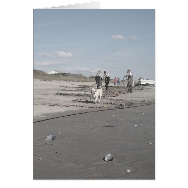 Fall Harvest (Vorne)