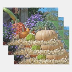 Fall Harvest Geschenkpapier Set