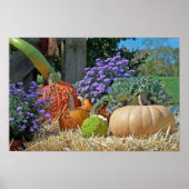 Fall Harvest Poster (Vorne)