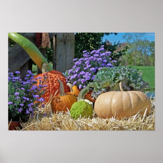 Fall Harvest Poster (Vorne)